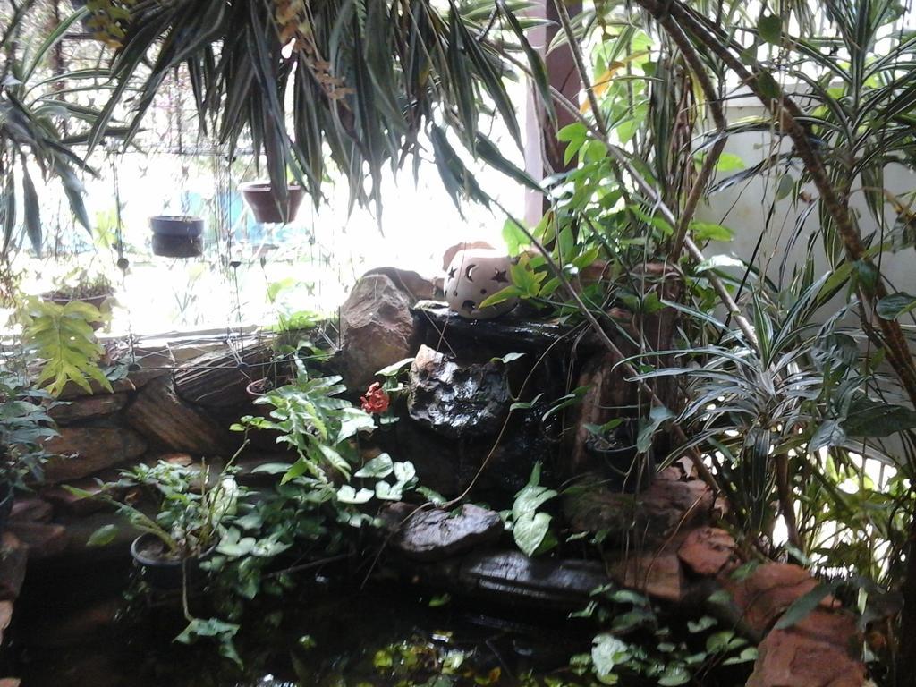Kzazendf Cama E Cafe Asa Sul Bed & Breakfast Brasília Ngoại thất bức ảnh